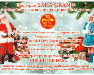 Новый год с Saka Grand