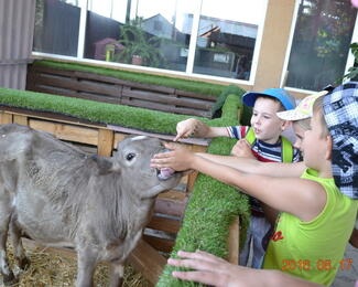 Трапеза с питомцами в «ZOO-кафе»