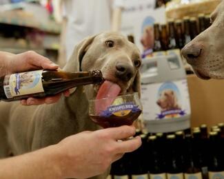 Собачье и томатное пиво: чем удивляют мировые пивовары? 