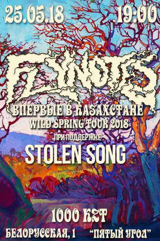 Группа «Flynotes» в Караганде