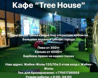 Cafe Bar Tree: футбольные трансляции на крыше!