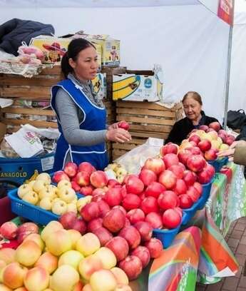 Фестиваль яблок «АЛМА Fest»