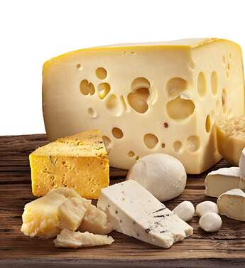 Фестиваль сыра Cheesemaker.kz-2018 в Алматы