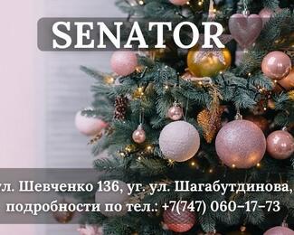 Новогодние корпоративы в SENATOR!