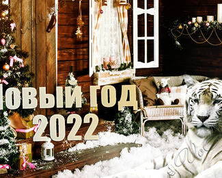 Ресторанный комплекс Sahil приглашает на новогодние корпоративы 2022!