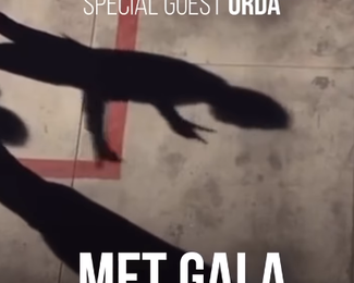 ​Met Gala Golden Glamour: Новый год в More & More