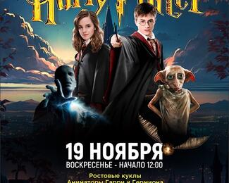 Детский праздник в стиле Harry Potter 19 ноября в кафе «Форт Верный»