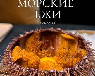 Экзотика на тарелке и испанские танцы: морские ежи и музыка в Bar Rojo & Elitalco.kz