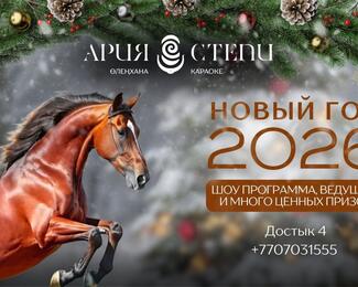 Идеальный Новый год в новом банкетном зале и караоке «Ария Степи»