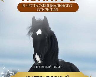 Чистокровный жеребец в подарок: конкурс от ресторана «Ария Степи»
